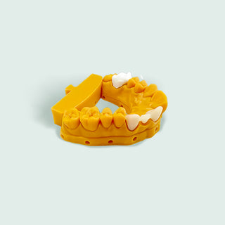 3D Printer Model Resin