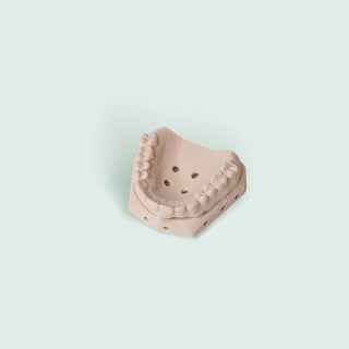 3D Printer Model Resin